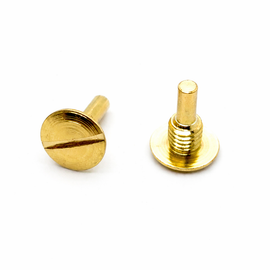 2-Pack Winchester Model 12 Magazine Band Screws (Gold) – 8-40 Thread – Reproduction