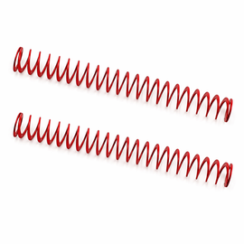 2-Pack Recoil Springs for HK P30 / P30L / P30S / USP Compact / P2000 9mm