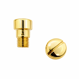 2-Pack for Winchester Model 1890 & 1906 – Replacement Screw Set Action Slide Handle Screws (Gold)